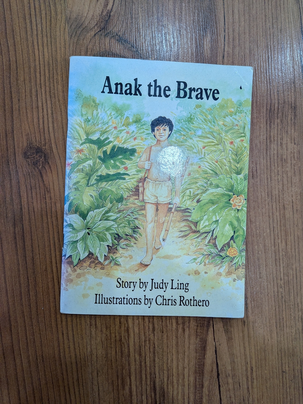 1990s Anak the Brave Children's Book - Green Illustrated Cover
